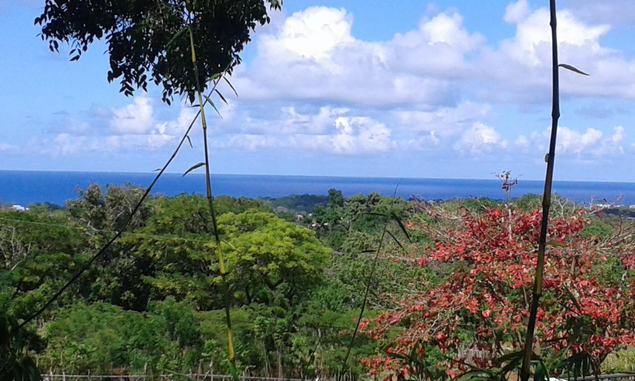 B&B El Mirador Al Mar โซซูอา ภายนอก รูปภาพ