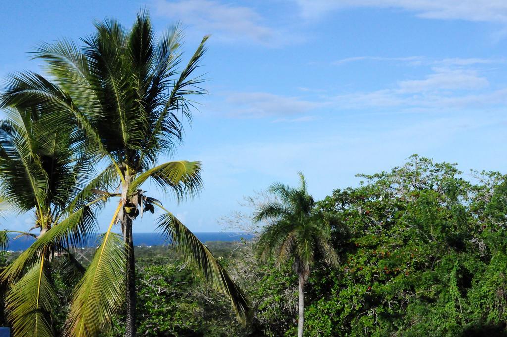 B&B El Mirador Al Mar โซซูอา ภายนอก รูปภาพ