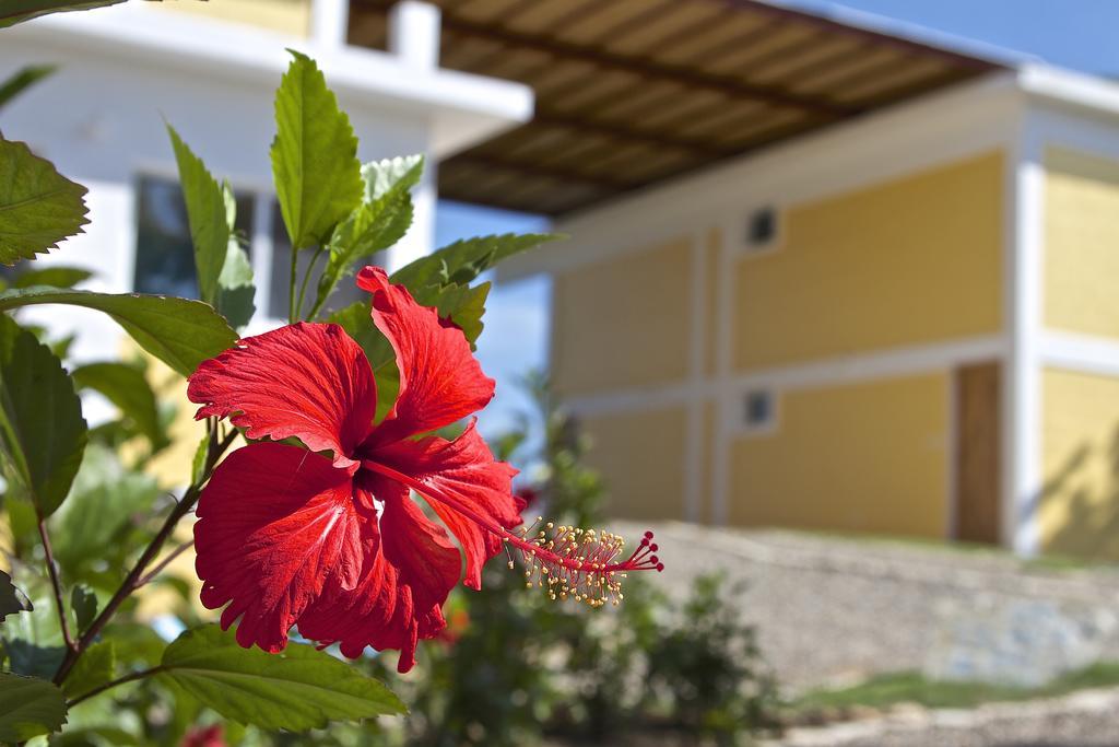 B&B El Mirador Al Mar โซซูอา ภายนอก รูปภาพ