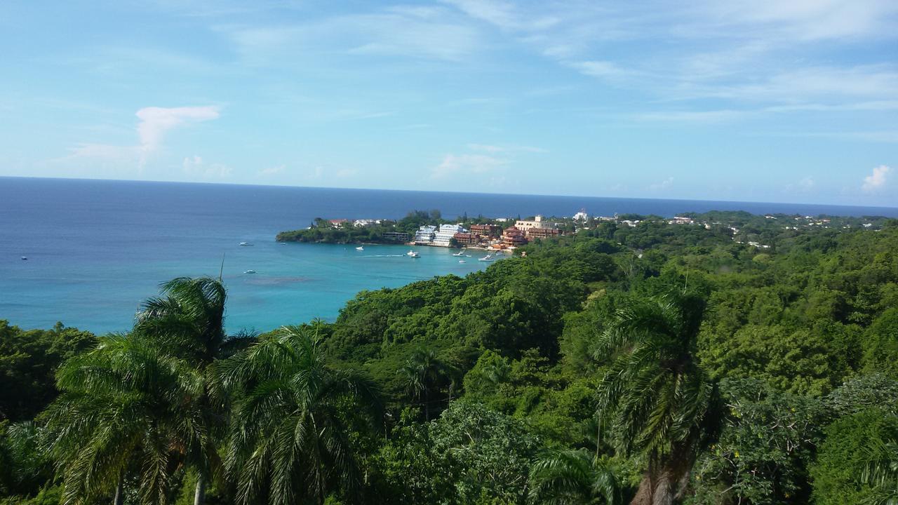 B&B El Mirador Al Mar โซซูอา ภายนอก รูปภาพ